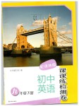 2019年初中英語課課練檢測卷九年級下冊譯林版