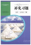 2019年補充習題九年級化學下冊人教版人民教育出版社