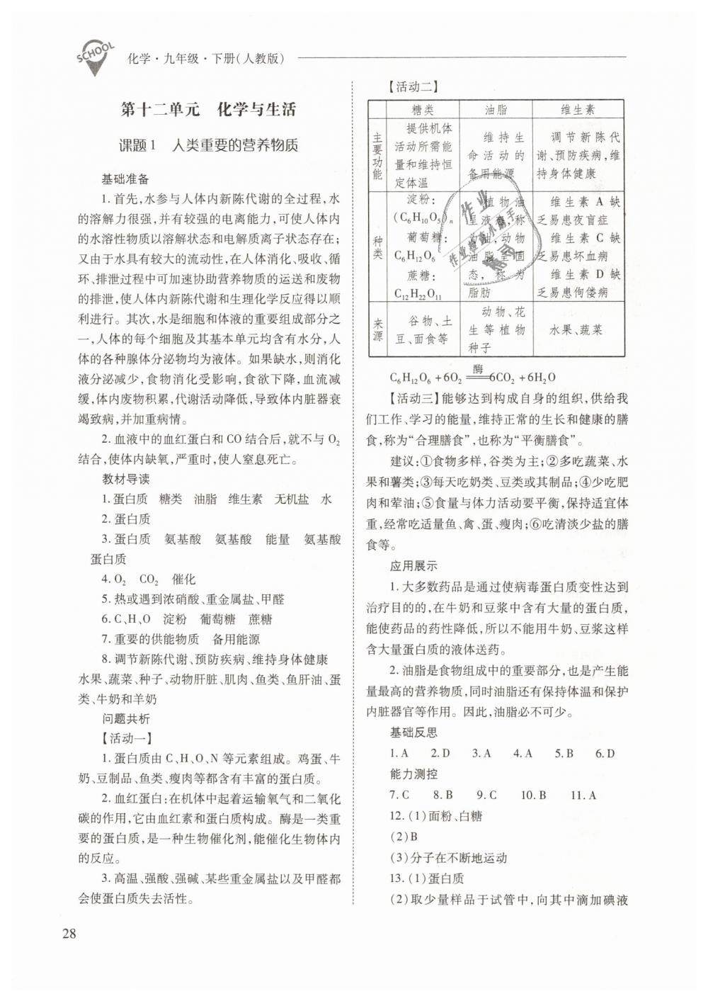 2019年新课程问题解决导学方案九年级化学下册人教版 第28页