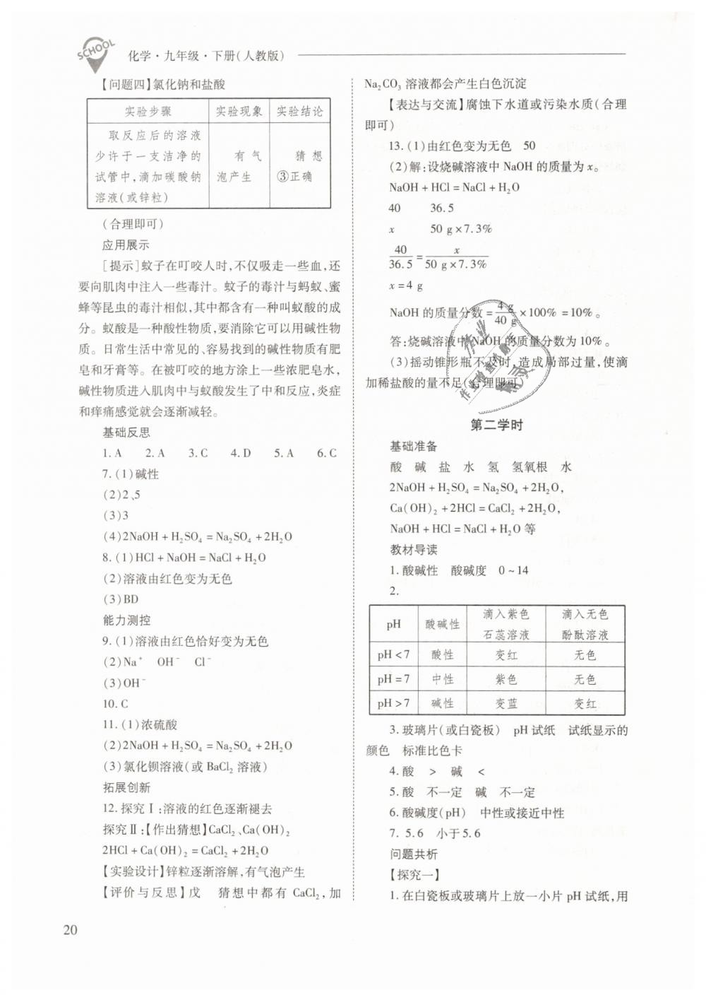 2019年新课程问题解决导学方案九年级化学下册人教版 第20页