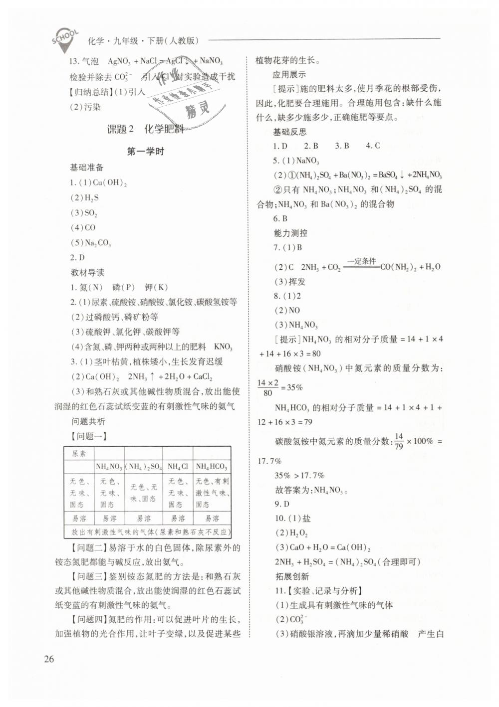 2019年新课程问题解决导学方案九年级化学下册人教版 第26页