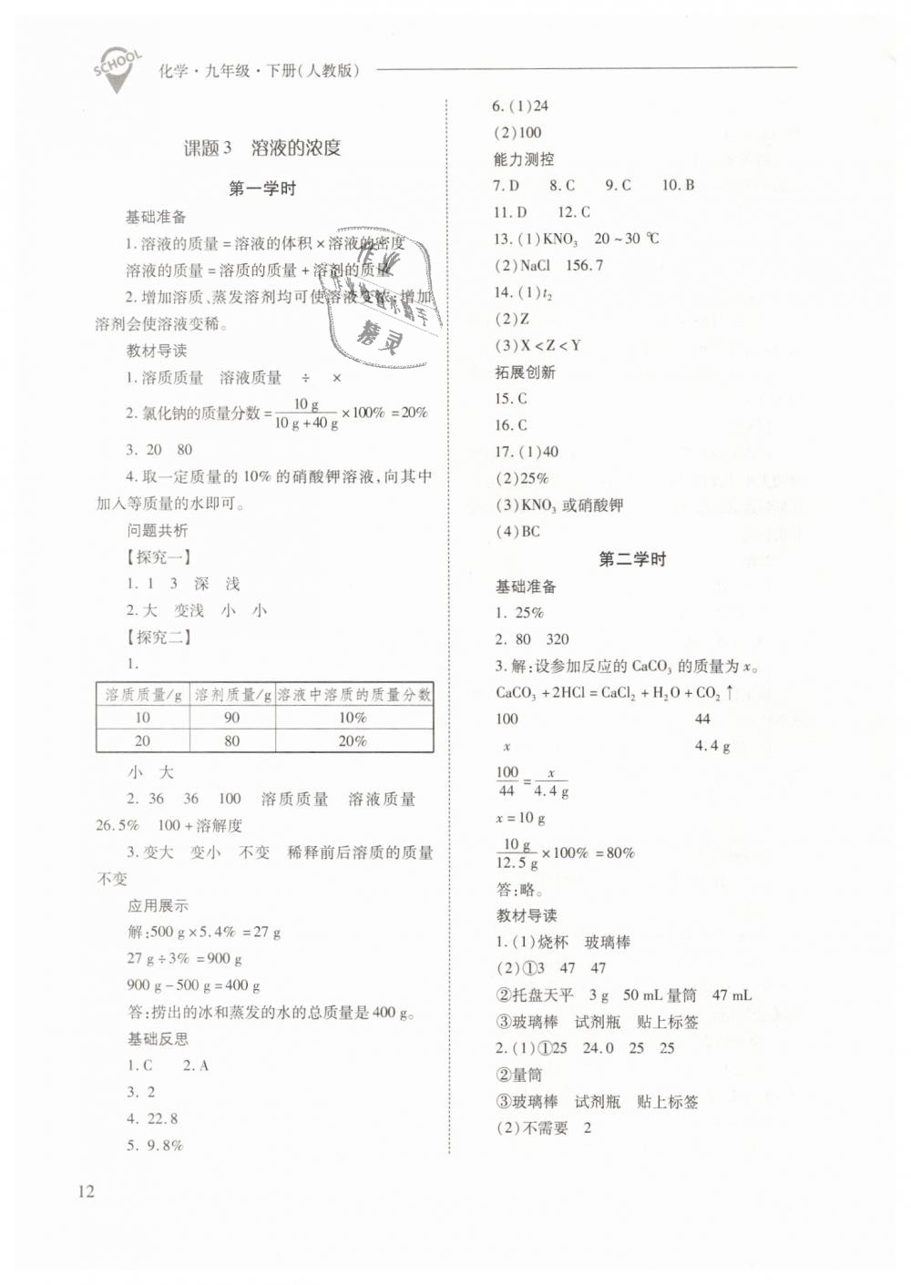 2019年新课程问题解决导学方案九年级化学下册人教版 第12页