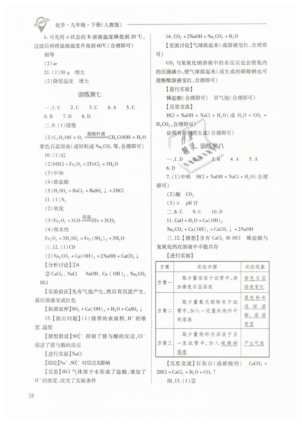 2019年新课程问题解决导学方案九年级化学下册人教版 第38页