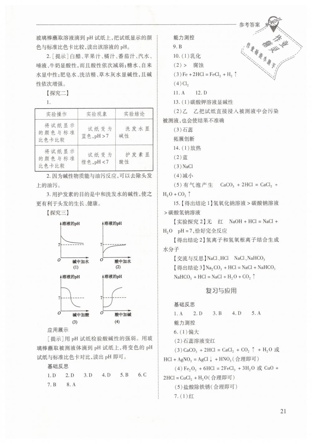 2019年新课程问题解决导学方案九年级化学下册人教版 第21页