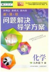 2019年新課程問題解決導學方案九年級化學下冊人教版