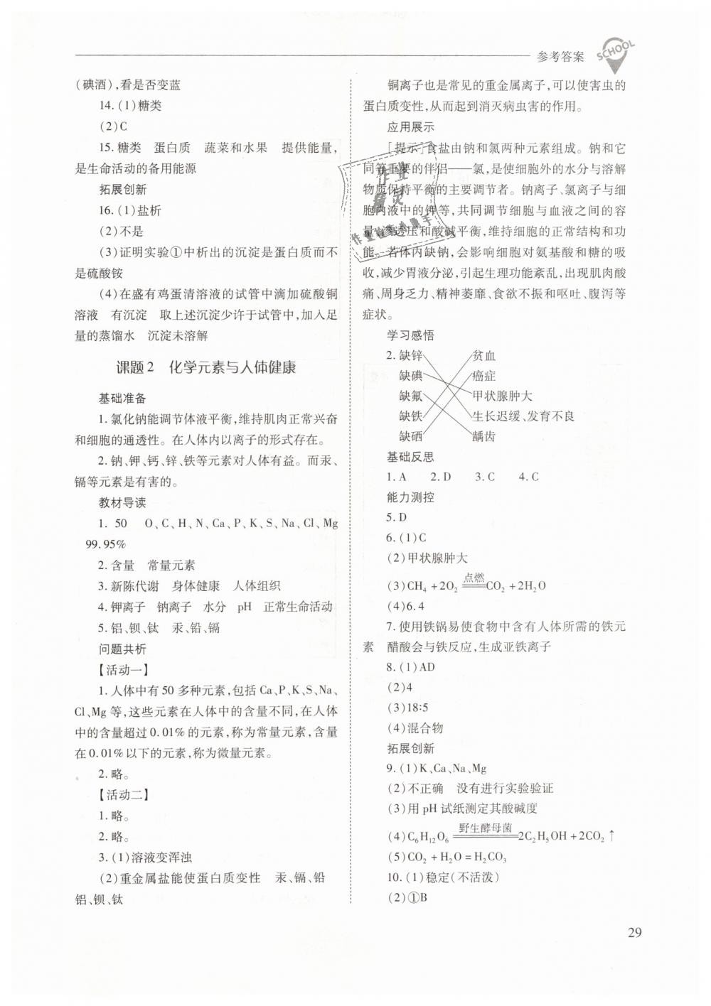 2019年新课程问题解决导学方案九年级化学下册人教版 第29页