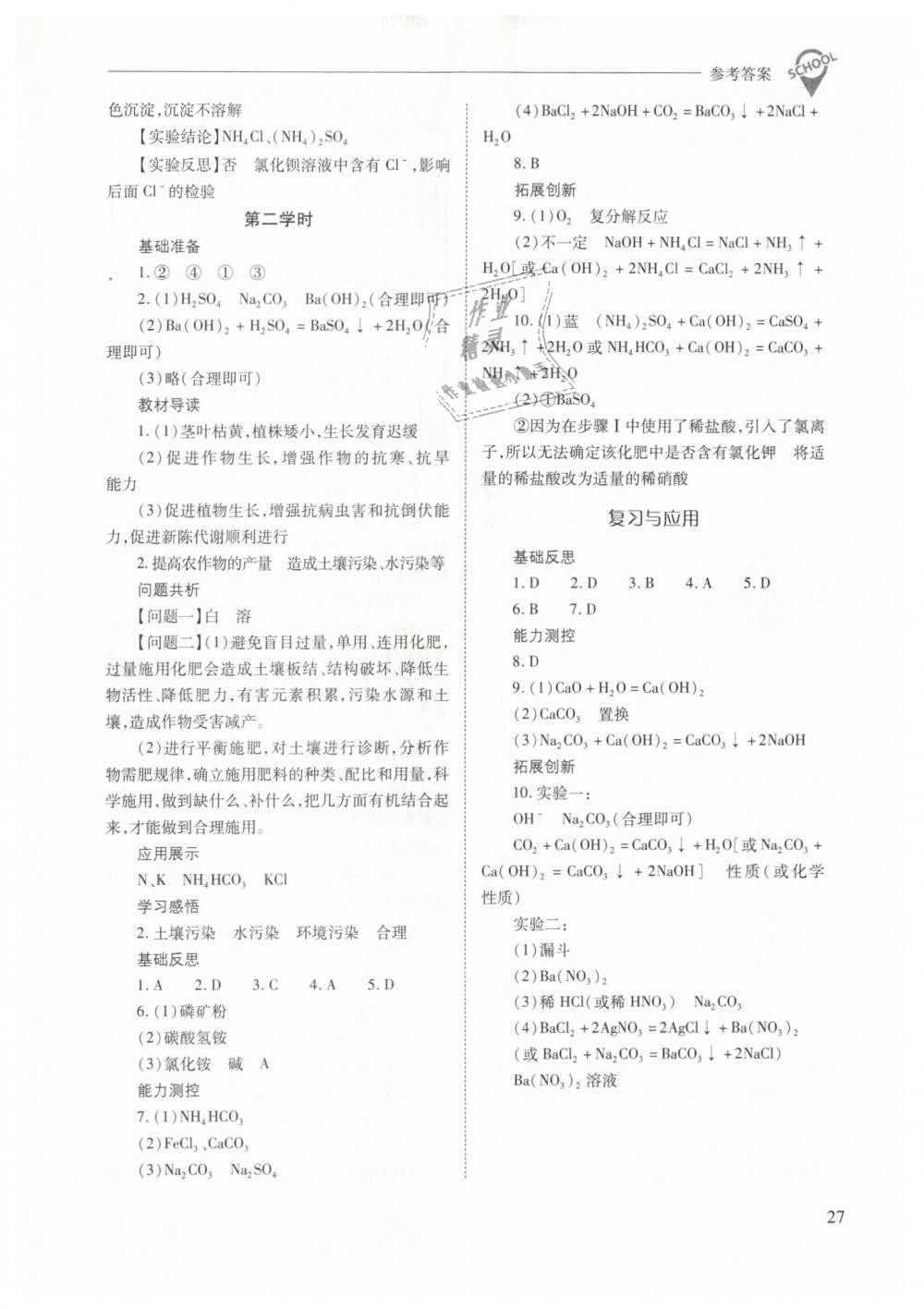 2019年新课程问题解决导学方案九年级化学下册人教版 第27页