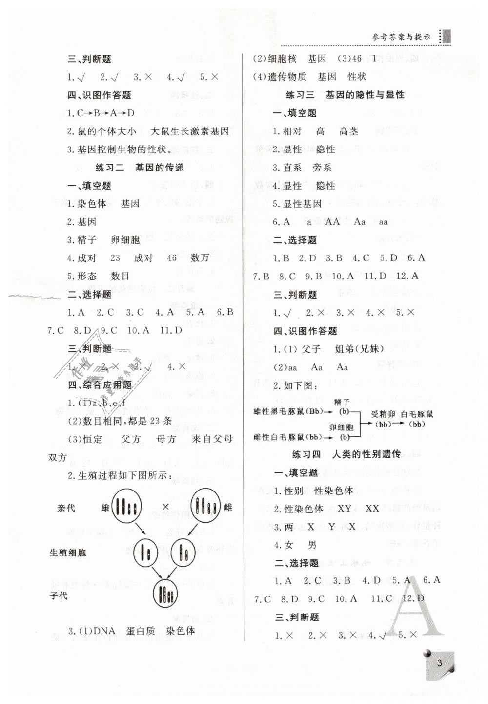 2019年课堂练习册八年级生物下册人教版A版 第3页