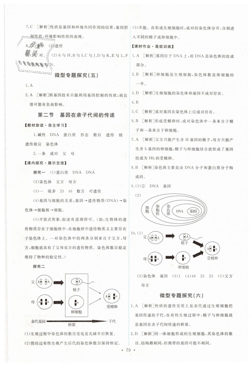 2019年能力培養(yǎng)與測試八年級生物學下冊人教版 第5頁