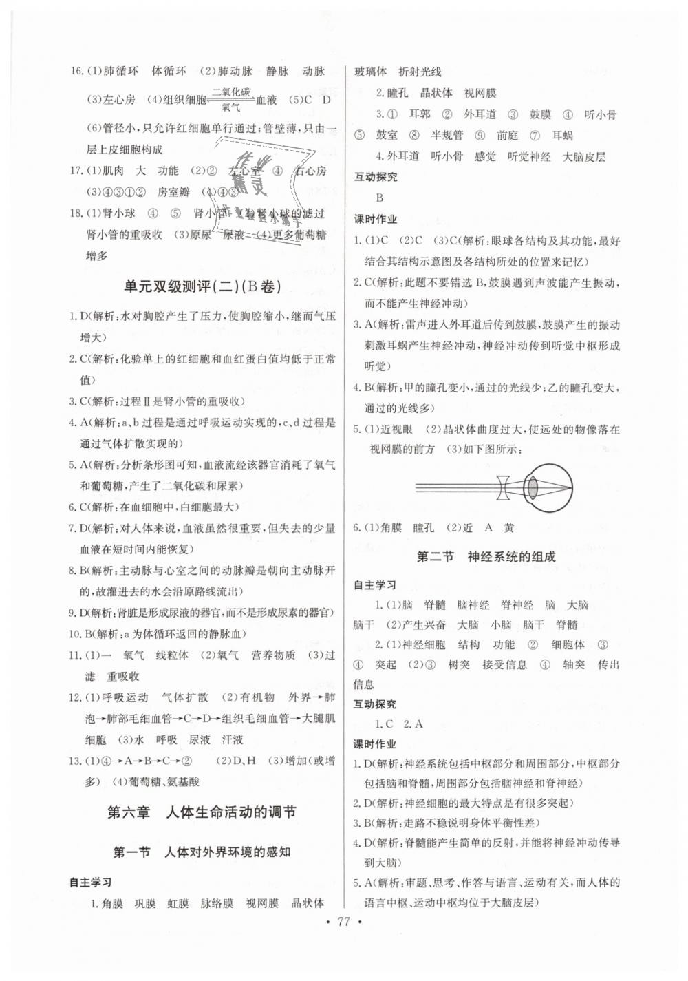 2019年长江全能学案同步练习册七年级生物学下册人教版 第7页