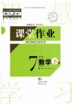 2020年智慧學(xué)習(xí)天天向上課堂作業(yè)七年級數(shù)學(xué)下冊人教版