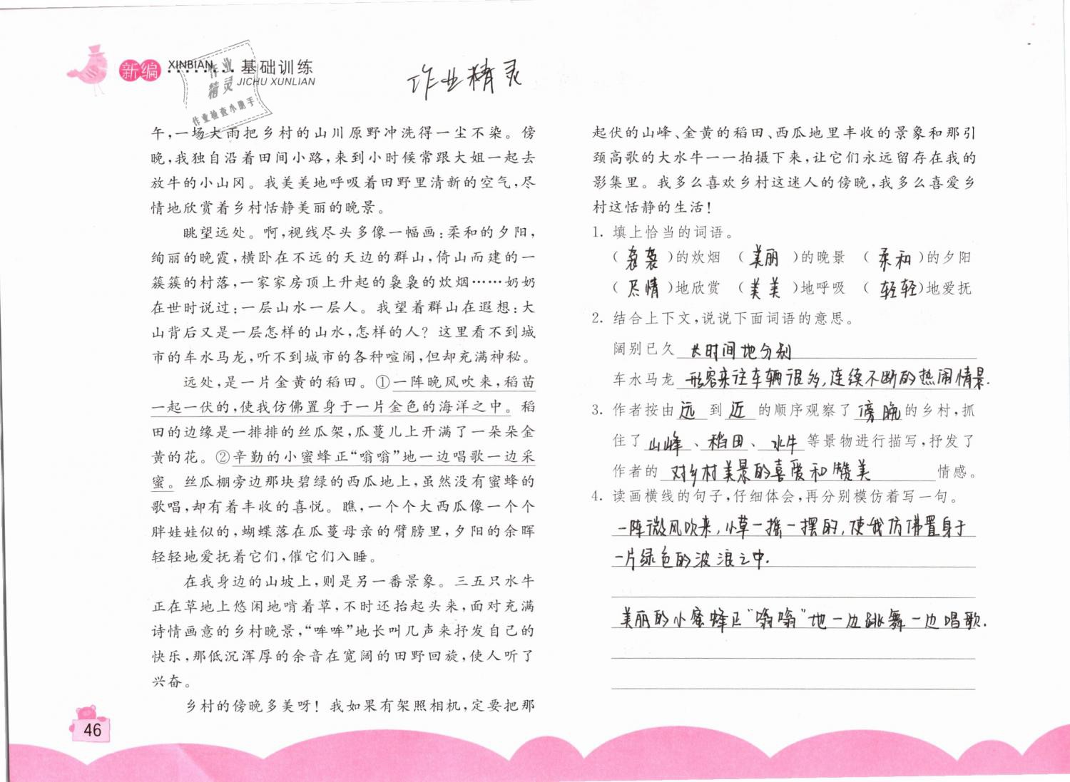 2019年新編基礎(chǔ)訓(xùn)練四年級(jí)語文下冊(cè)人教版 參考答案第46頁