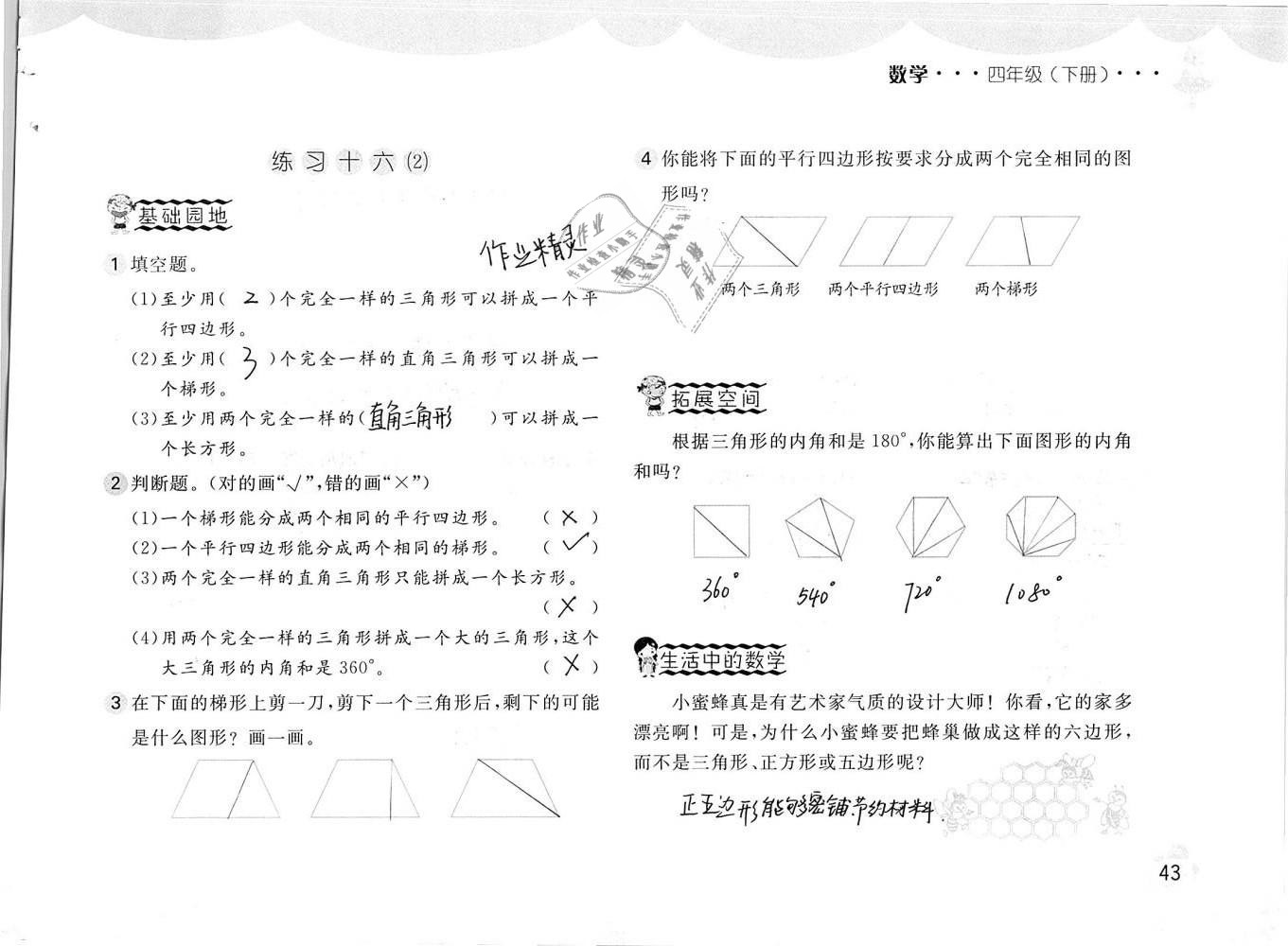 2019年新編基礎(chǔ)訓(xùn)練四年級數(shù)學(xué)下冊人教版 參考答案第43頁