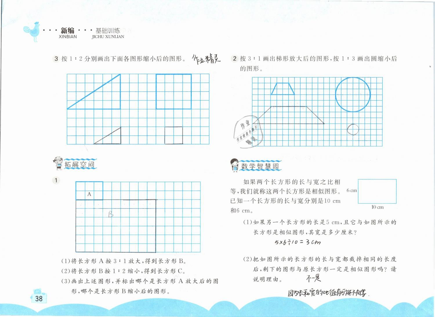 2019年新编基础训练六年级数学下册人教版 参考答案第38页