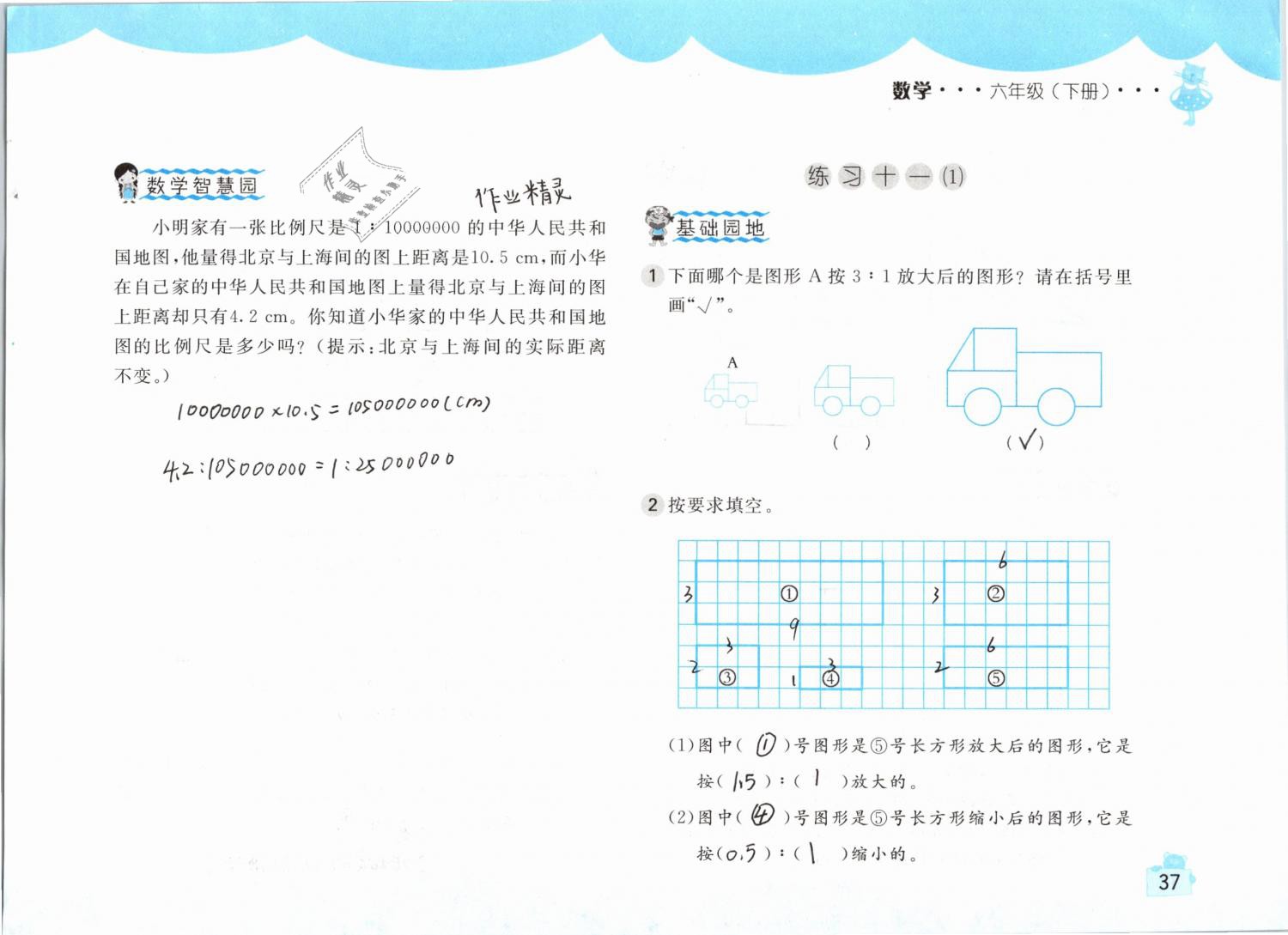 2019年新編基礎(chǔ)訓(xùn)練六年級數(shù)學(xué)下冊人教版 參考答案第37頁