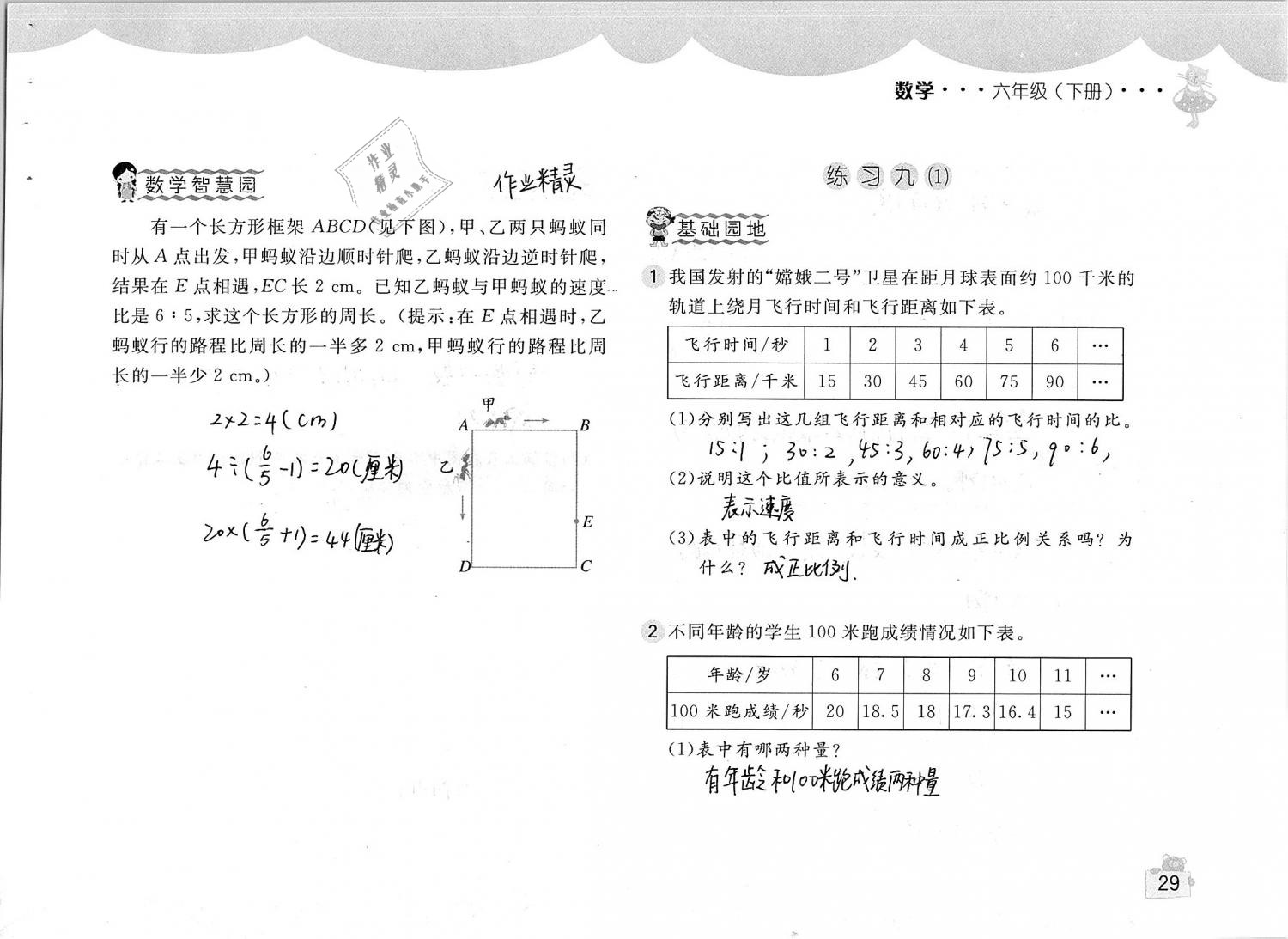 2019年新编基础训练六年级数学下册人教版 参考答案第29页