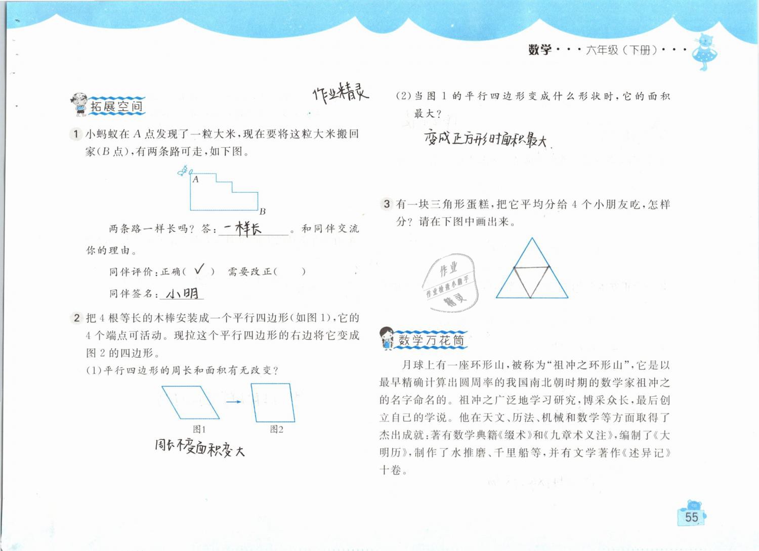 2019年新編基礎(chǔ)訓(xùn)練六年級數(shù)學(xué)下冊人教版 參考答案第55頁