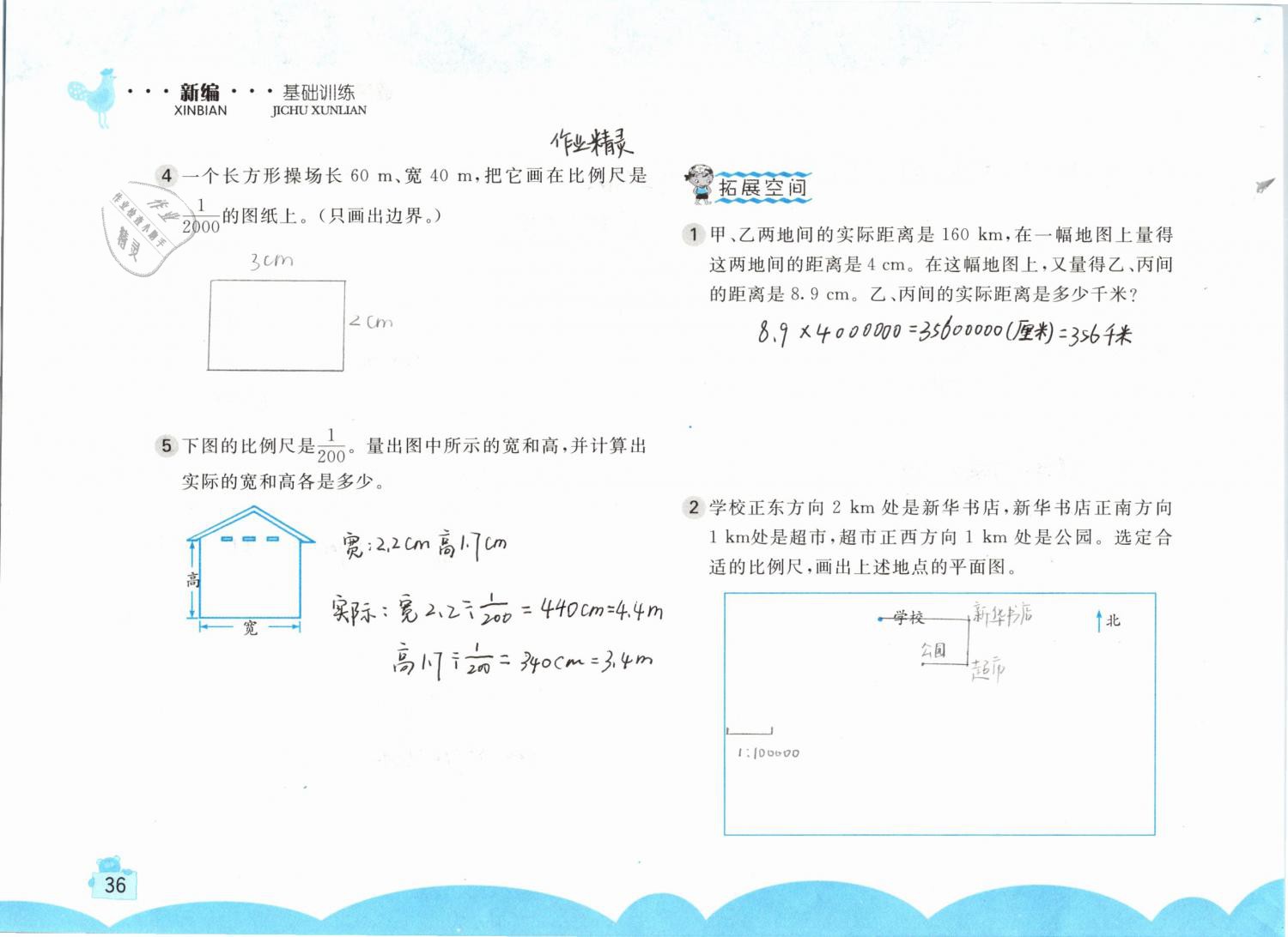 2019年新編基礎(chǔ)訓(xùn)練六年級(jí)數(shù)學(xué)下冊(cè)人教版 參考答案第36頁(yè)