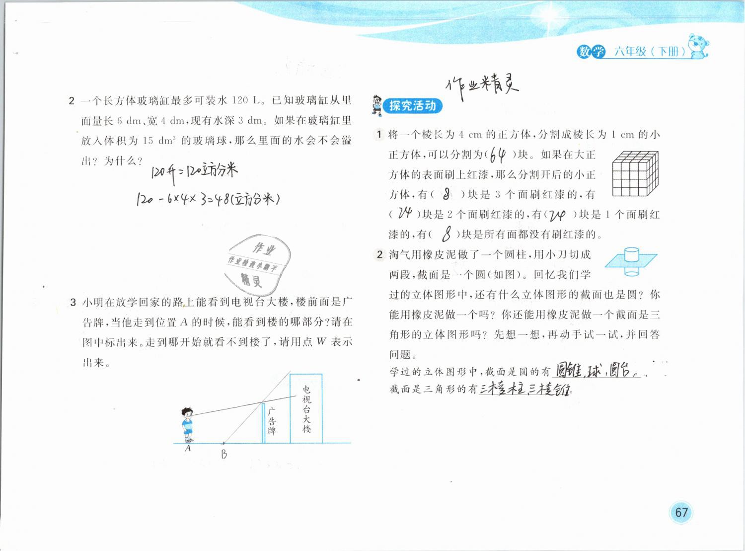 2019年新編基礎(chǔ)訓(xùn)練六年級數(shù)學(xué)下冊北師大版 參考答案第67頁