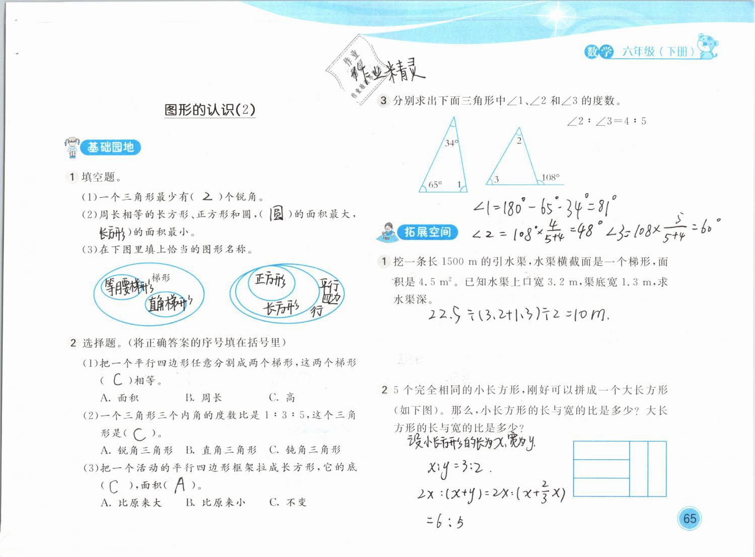 2019年新編基礎(chǔ)訓(xùn)練六年級數(shù)學(xué)下冊北師大版 參考答案第65頁