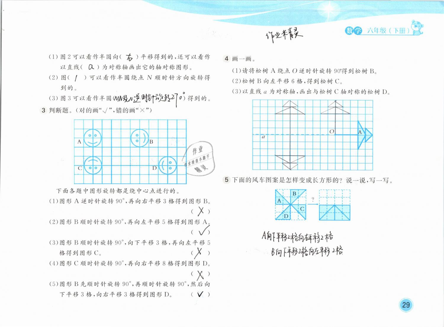 2019年新編基礎訓練六年級數(shù)學下冊北師大版 參考答案第29頁