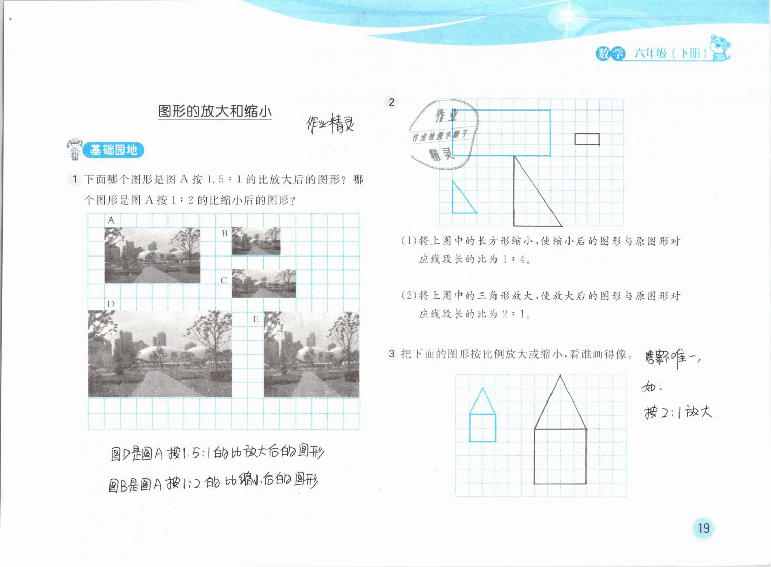 2019年新編基礎(chǔ)訓(xùn)練六年級(jí)數(shù)學(xué)下冊(cè)北師大版 參考答案第19頁