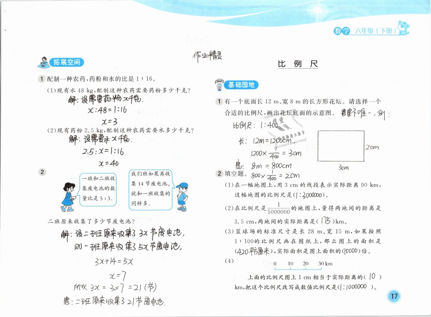 2019年新編基礎訓練六年級數學下冊北師大版 參考答案第17頁