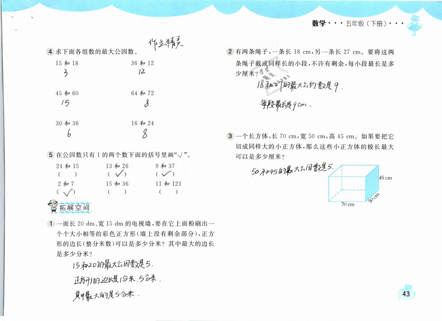 2019年新編基礎(chǔ)訓(xùn)練五年級數(shù)學下冊人教版 參考答案第43頁