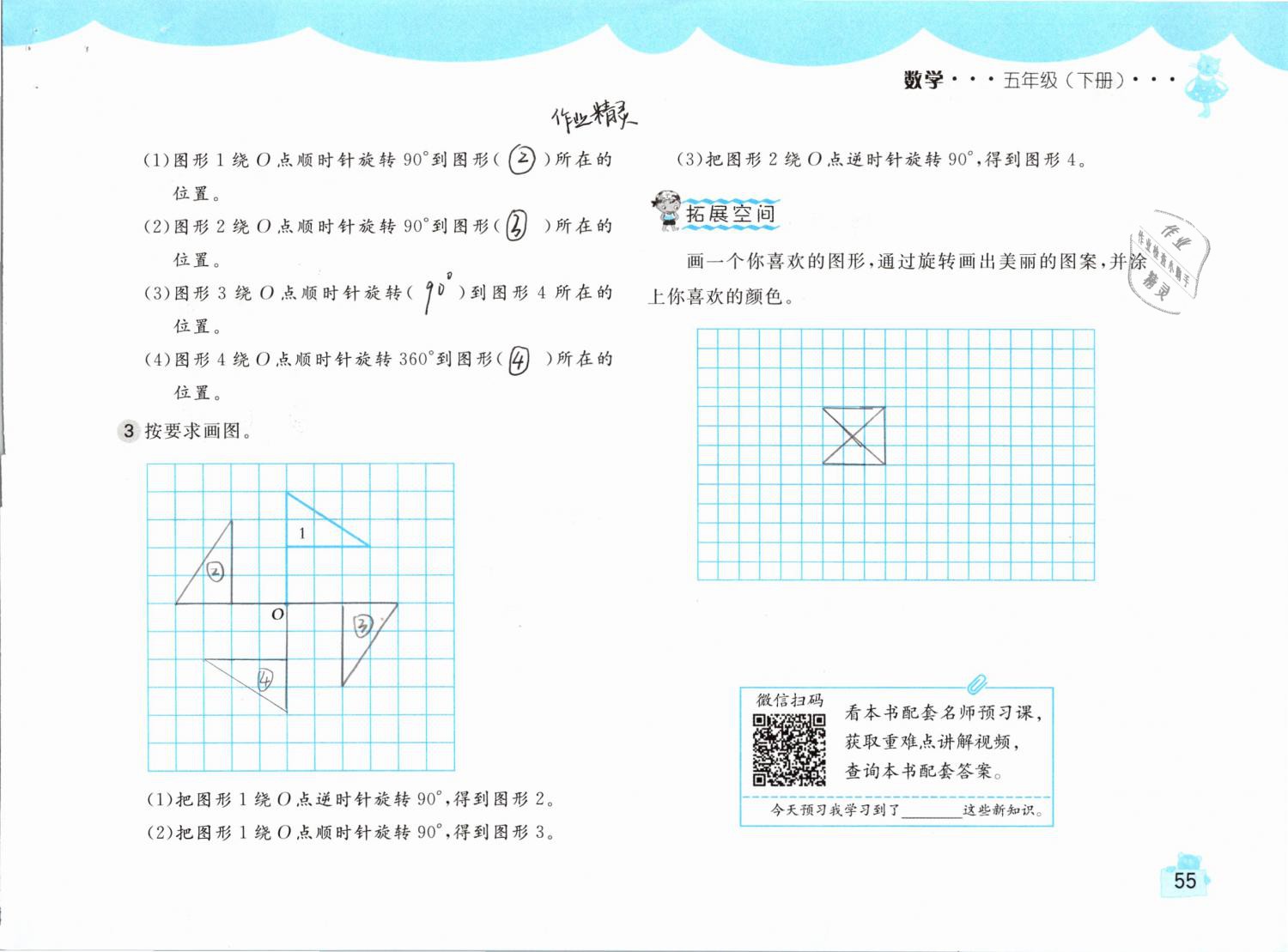 2019年新編基礎(chǔ)訓(xùn)練五年級(jí)數(shù)學(xué)下冊(cè)人教版 參考答案第55頁(yè)