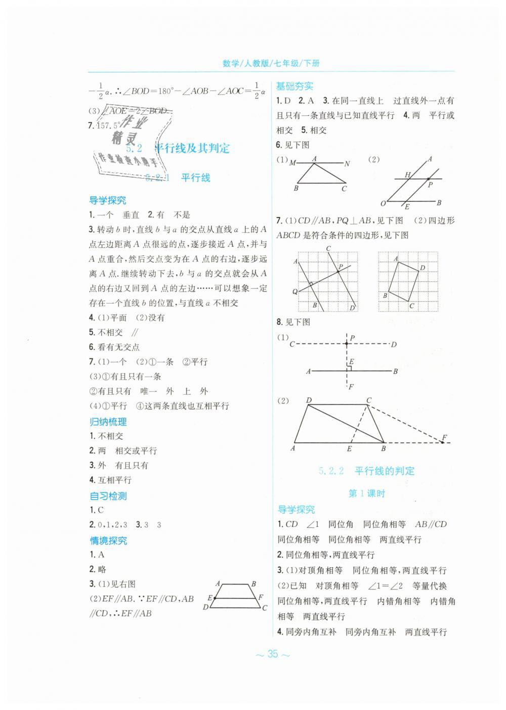 2019年新编基础训练七年级数学下册人教版 第3页