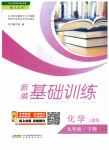 2019年新編基礎(chǔ)訓練九年級化學下冊人教版