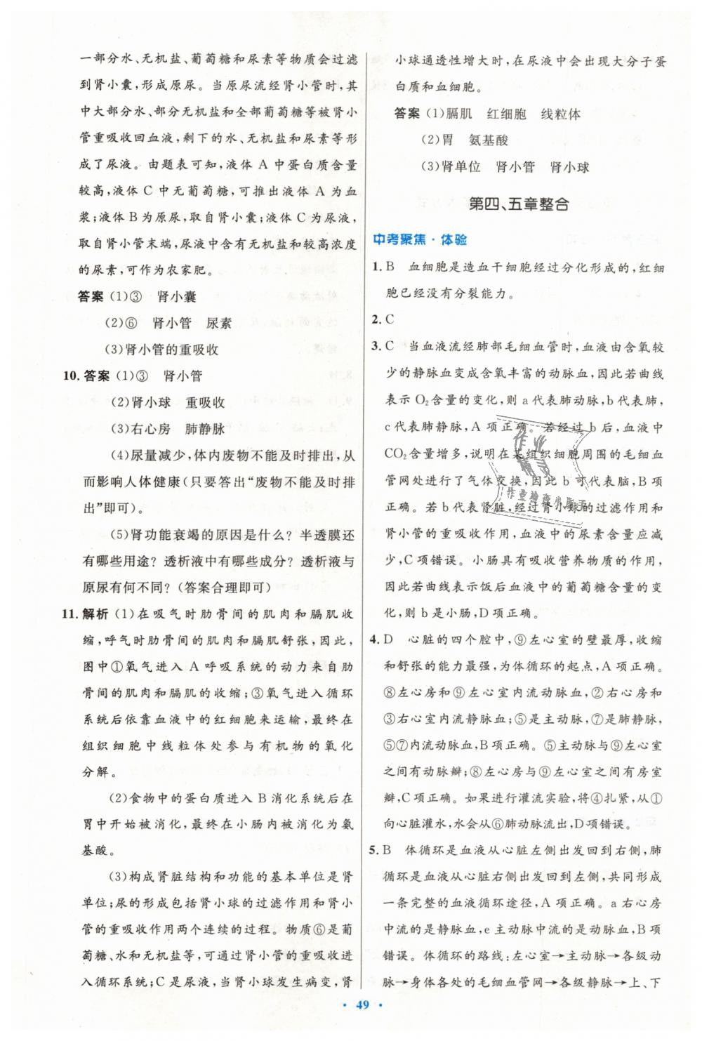 2019年初中同步測控優(yōu)化設計七年級生物學下冊人教版 第17頁