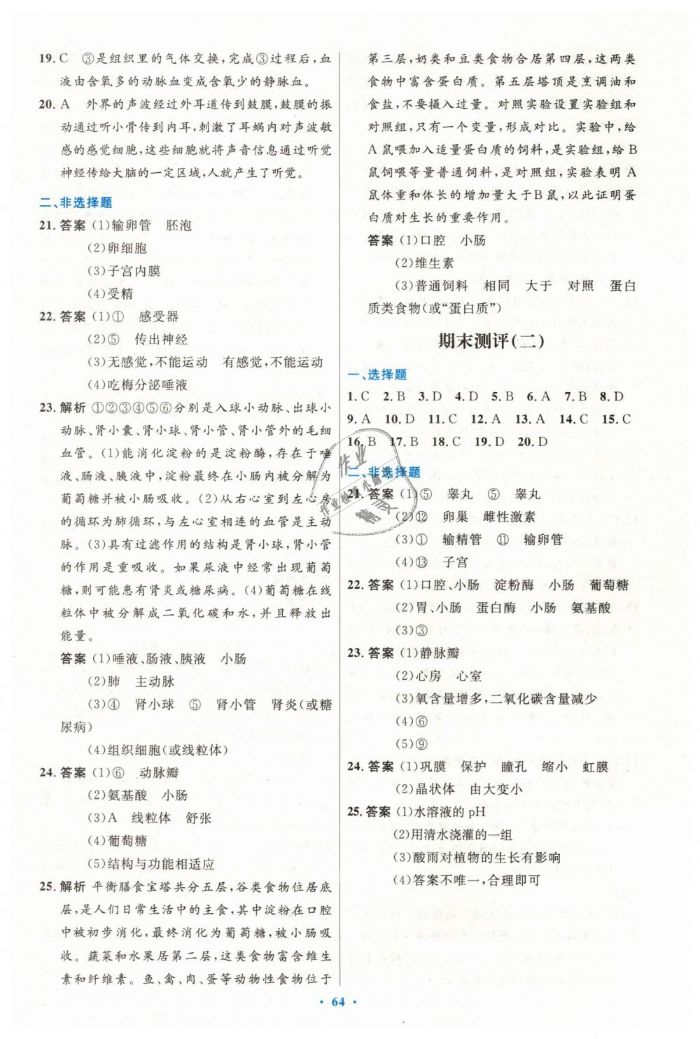 2019年初中同步测控优化设计七年级生物学下册人教版 第32页