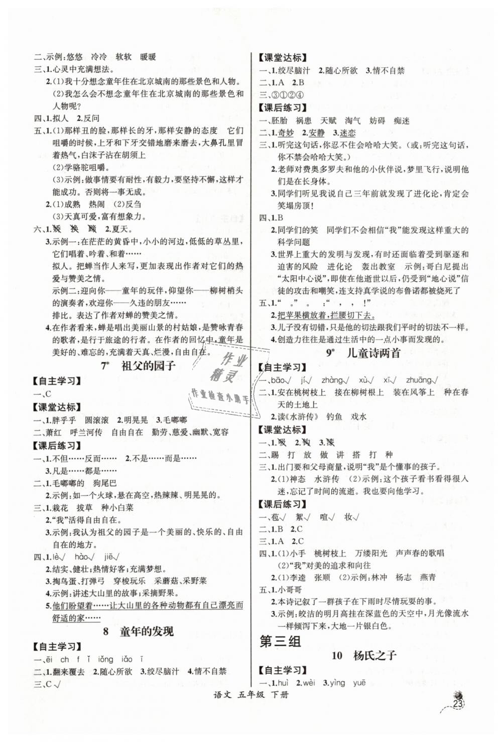 2019年同步導(dǎo)學(xué)案課時練五年級語文下冊人教版河北專版 第3頁