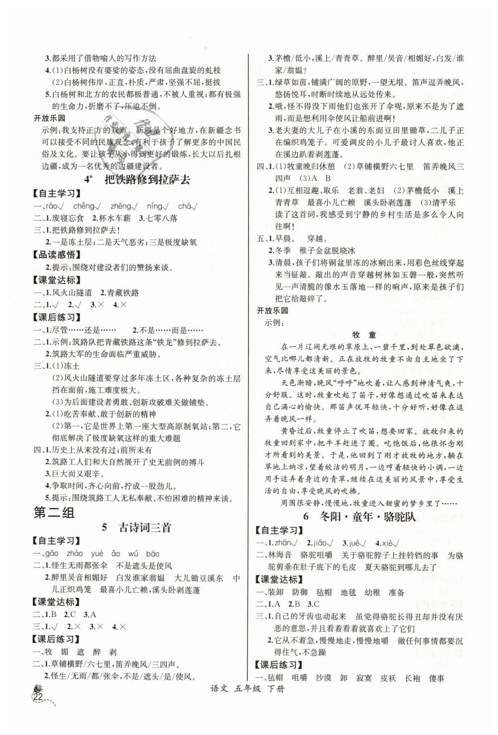 2019年同步导学案课时练五年级语文下册人教版河北专版 第2页