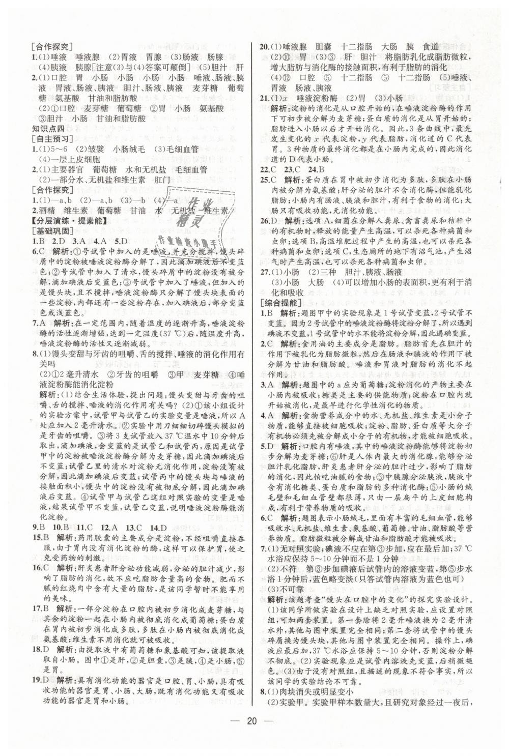 2019年同步学历案课时练七年级生物学下册人教版河北专版 第4页