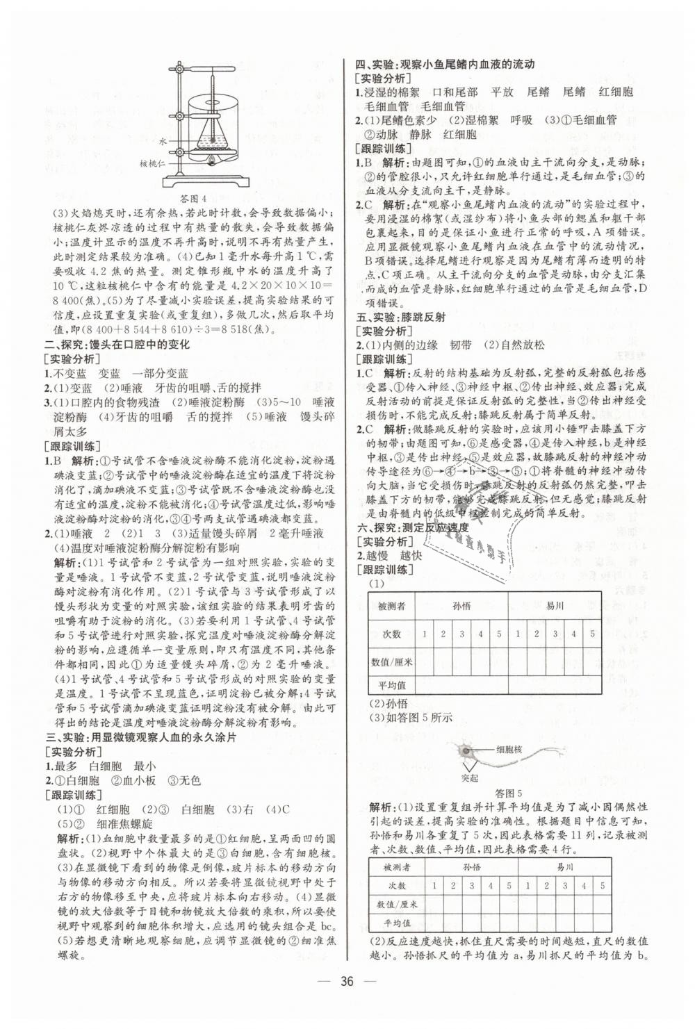 2019年同步學(xué)歷案課時(shí)練七年級(jí)生物學(xué)下冊(cè)人教版河北專版 第20頁