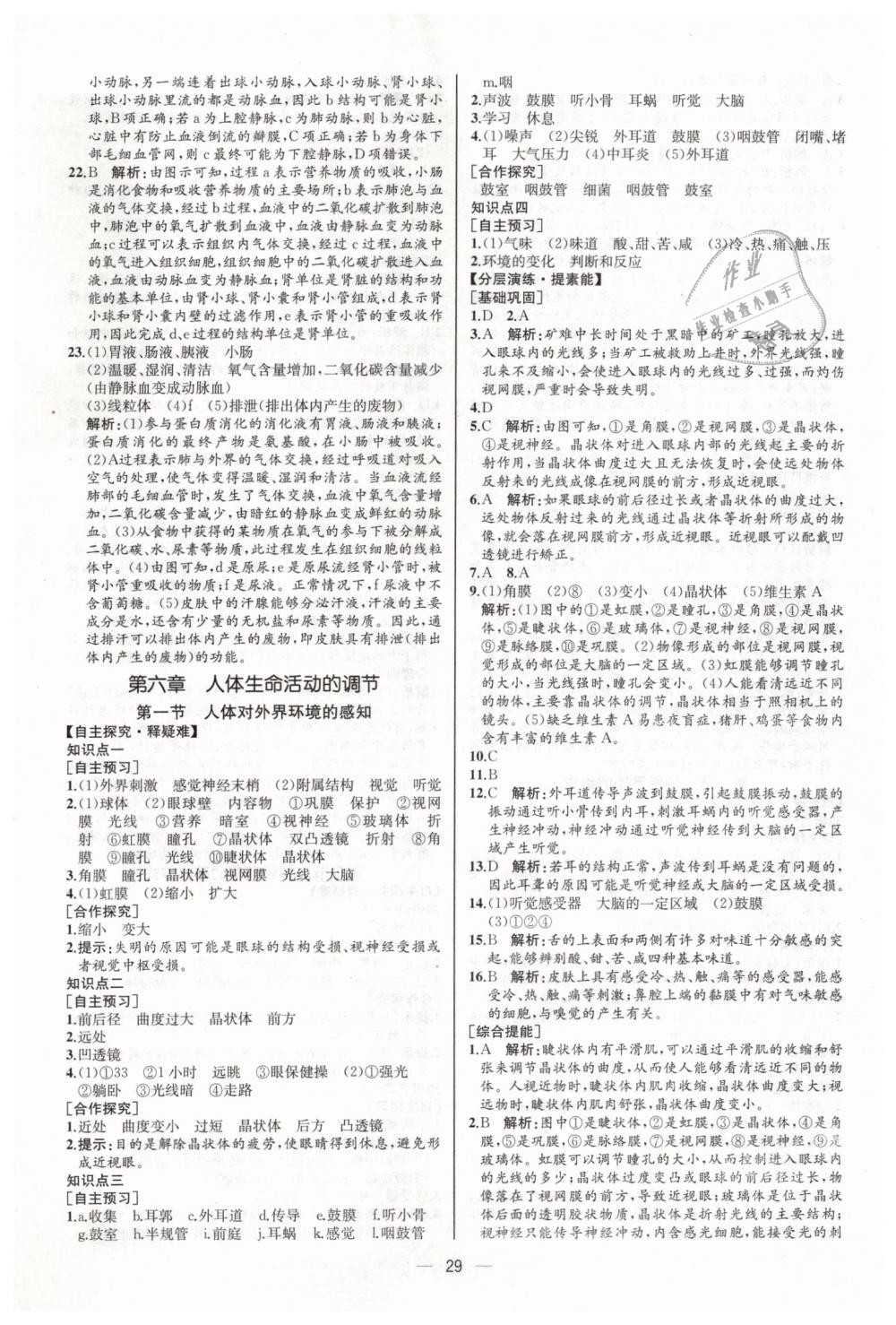 2019年同步学历案课时练七年级生物学下册人教版河北专版 第13页