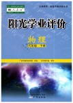 2019年陽光學(xué)業(yè)評(píng)價(jià)九年級(jí)物理下冊(cè)人教版