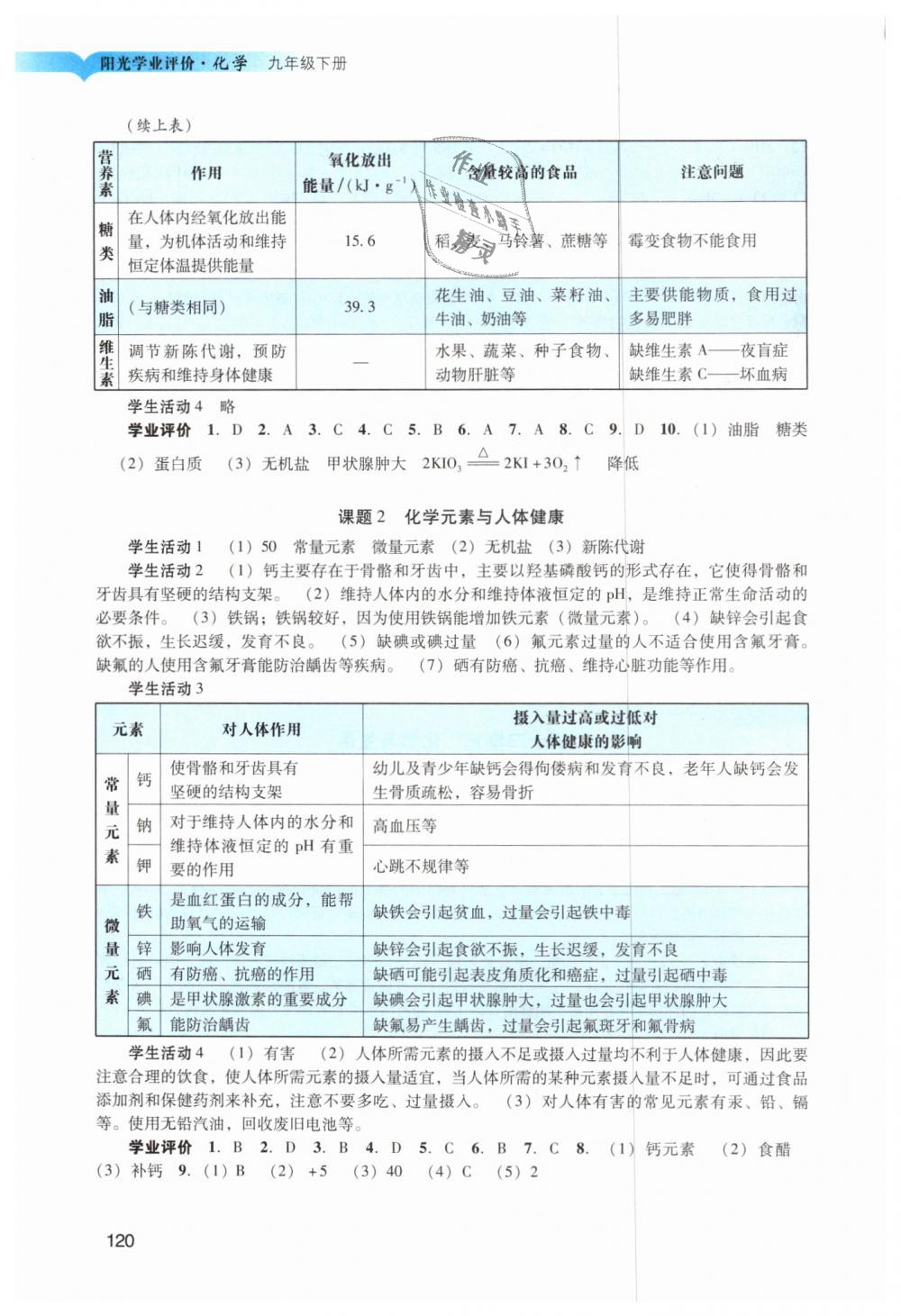 2019年陽光學(xué)業(yè)評價九年級化學(xué)下冊人教版 第17頁