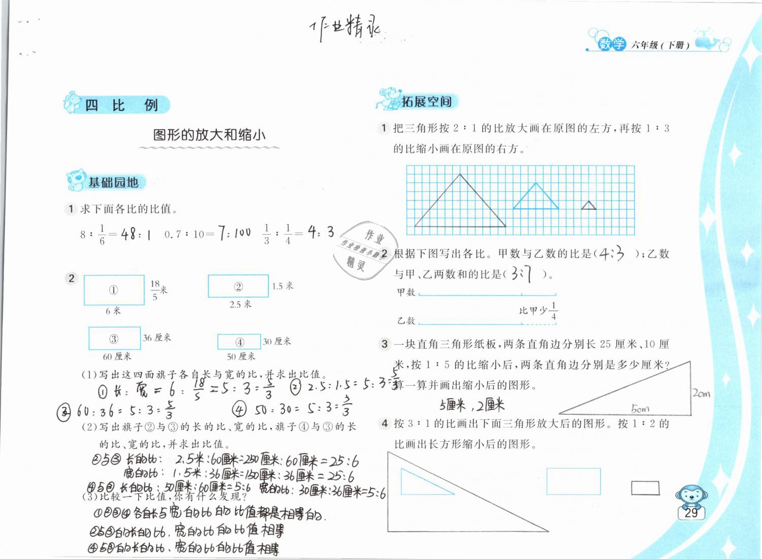 2019年新編基礎(chǔ)訓(xùn)練六年級(jí)數(shù)學(xué)下冊(cè)蘇教版 參考答案第29頁(yè)