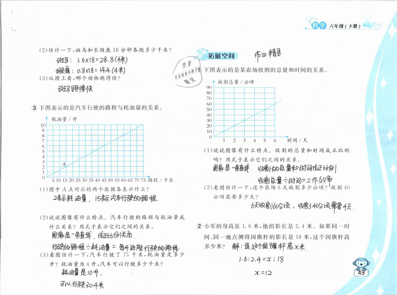 2019年新編基礎(chǔ)訓(xùn)練六年級數(shù)學(xué)下冊蘇教版 參考答案第49頁