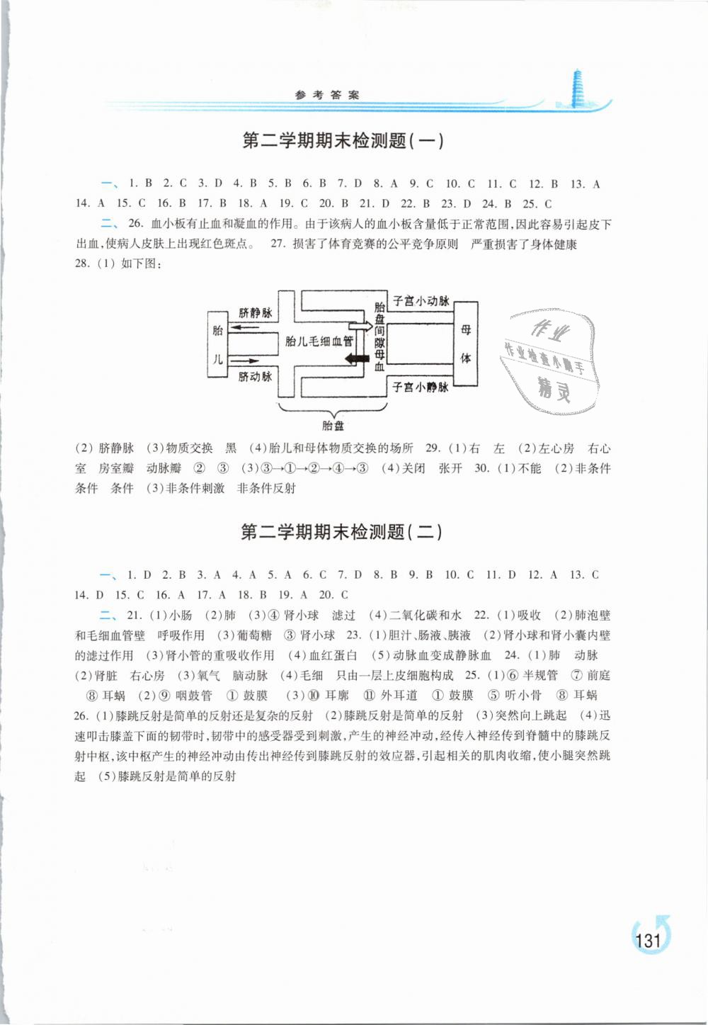 2019年學(xué)習(xí)檢測(cè)七年級(jí)生物學(xué)下冊(cè)蘇教版 第11頁(yè)