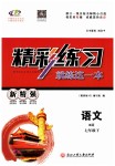 2019年精彩練習(xí)就練這一本七年級語文下冊人教版