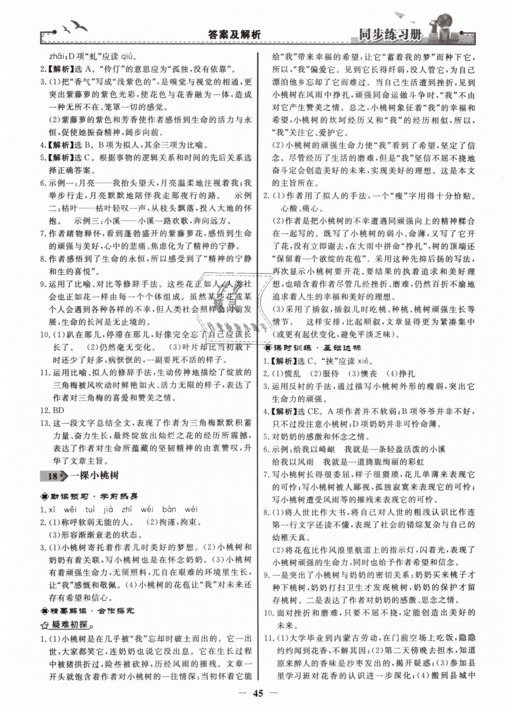 2019年同步练习册七年级语文下册人教版人民教育出版社 第13页