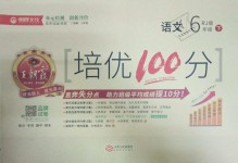 2019年王朝霞培優(yōu)100分六年級(jí)語(yǔ)文下冊(cè)人教版