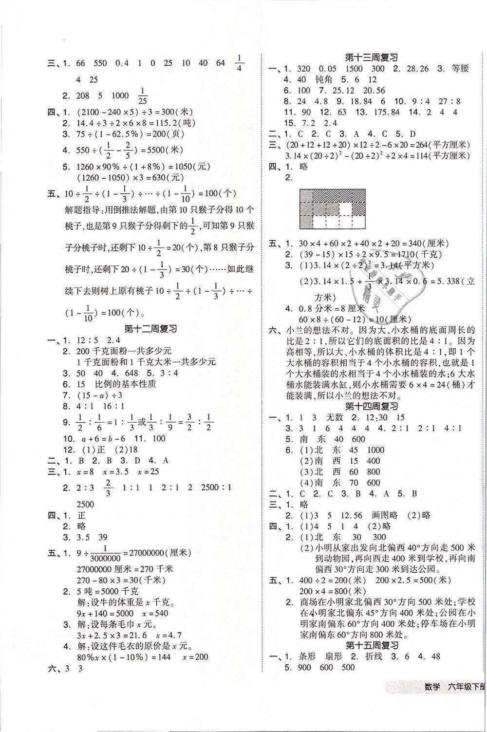 2019年全品小復(fù)習(xí)六年級數(shù)學(xué)下冊蘇教版 第5頁