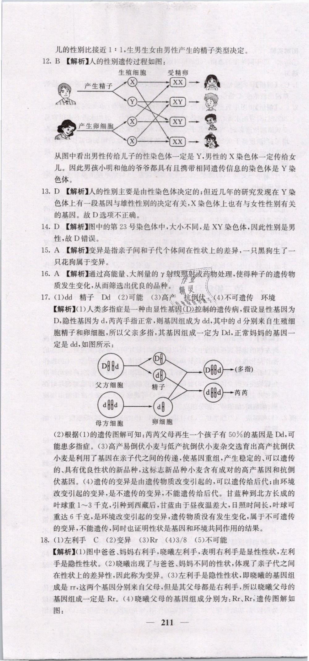 2019年中考新航线九年级生物人教版 第37页