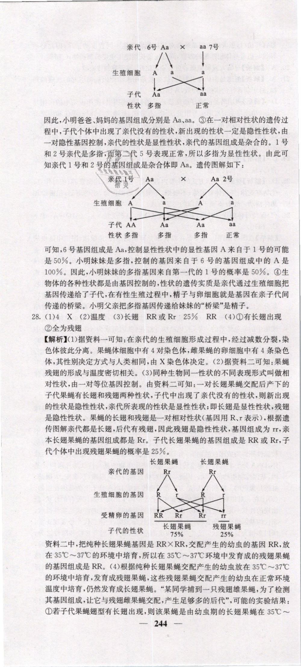 2019年中考新航线九年级生物人教版 第70页