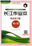 2019年長江作業(yè)本同步練習冊九年級物理下冊人教版